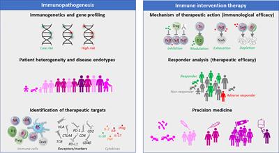 The need and benefit of immune monitoring to define patient and disease heterogeneity, mechanisms of therapeutic action and efficacy of intervention therapy for precision medicine in type 1 diabetes